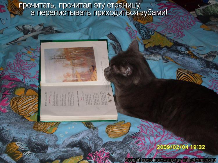 прочитать, прочитал эту страницу, а перелистывать приходиться зубами!... Котоматрица: прочитать, прочитал эту страницу, а перелистывать приходиться зубами!