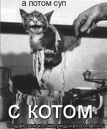а потом суп с котом... Котоматрица: а потом суп с котом