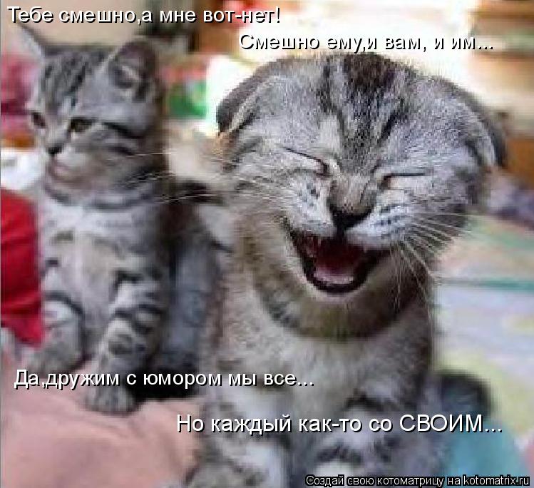 Тебе смешно,а мне вот-нет! Смешно ему,и вам, и им... Да,дружим с юмором мы все... Но каждый как-то со... Котоматрица: Тебе смешно,а мне вот-нет! Смешно ему,и вам, и им... Да,дружим с юмором мы все... Но каждый как-то со СВОИМ...