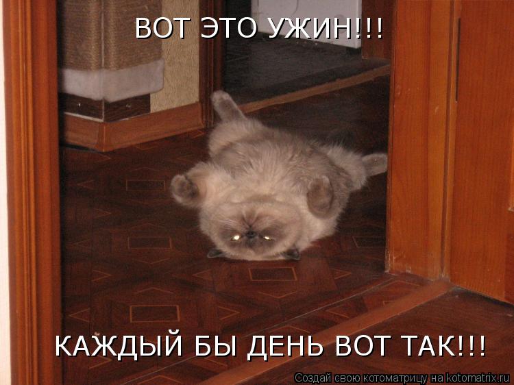 ВОТ ЭТО УЖИН!!! КАЖДЫЙ БЫ ДЕНЬ ВОТ ТАК!!!... Котоматрица: ВОТ ЭТО УЖИН!!! КАЖДЫЙ БЫ ДЕНЬ ВОТ ТАК!!!