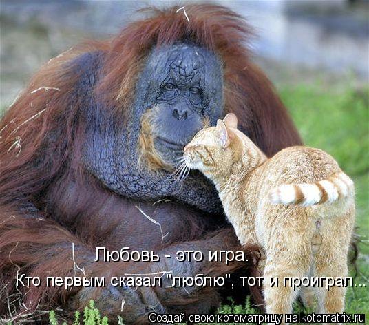 Котоматрица: Любовь - это игра.  Кто первым сказал "люблю", тот и проиграл...