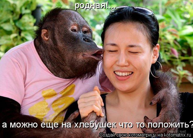 родная!... а можно еще на хлебушек что то положить?... Котоматрица: родная!... а можно еще на хлебушек что то положить?