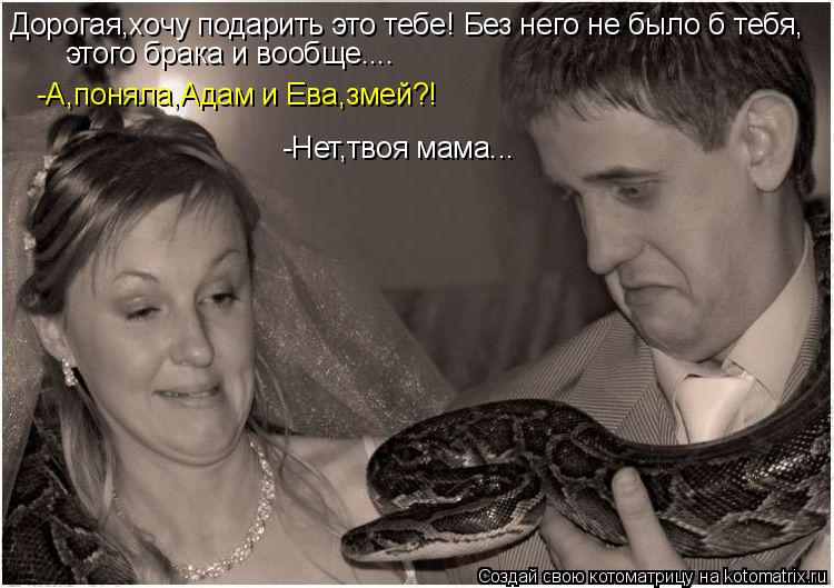 Котоматрица: Дорогая,хочу подарить это тебе! Без него не было б тебя, этого брака и вообще.... -А,поняла,Адам и Ева,змей?! -Нет,твоя мама...