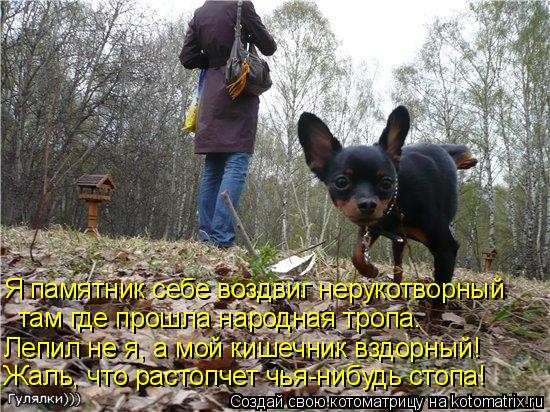 Жаль, что растопчет чья-нибудь стопа! Лепил не я, а мой кишечник вздорный! там где прошла народная тр... Котоматрица: Жаль, что растопчет чья-нибудь стопа! Лепил не я, а мой кишечник вздорный! там где прошла народная тропа. Я памятник себе воздвиг нерукотворн