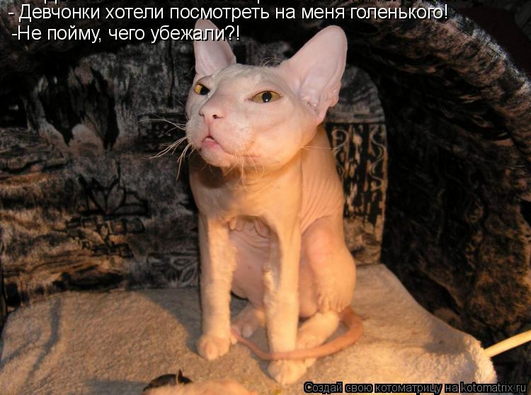 Девчонки хотели посмотреть на меня голенького! - Девчонки хотели посмотреть на меня голенького! -Не п... Котоматрица: Девчонки хотели посмотреть на меня голенького! - Девчонки хотели посмотреть на меня голенького! -Не пойму, чего убежали?!