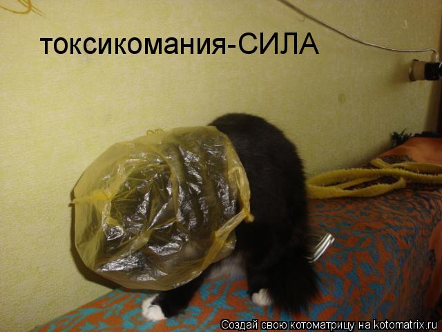 токсикомания-СИЛА... Котоматрица: токсикомания-СИЛА