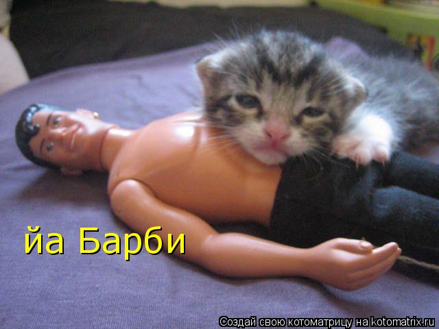 йа Барби... Котоматрица: йа Барби