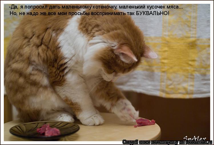-Да, я попросил дать маленькому котеночку, маленький кусочек мяса... Но, не надо же все мои просьбы в... Котоматрица: -Да, я попросил дать маленькому котеночку, маленький кусочек мяса... Но, не надо же все мои просьбы воспринимать так БУКВАЛЬНО!