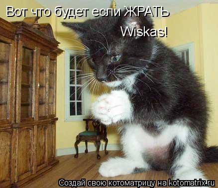 Котоматрица: Вот что будет если ЖРАТЬ Wiskas!