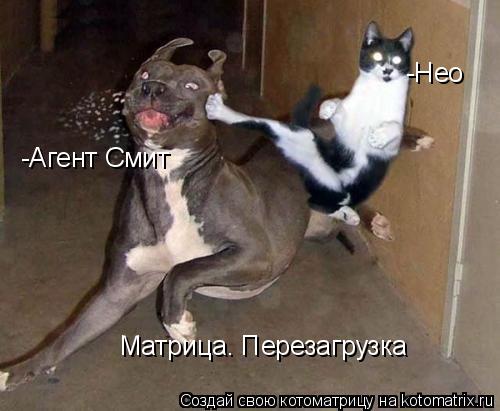 Котоматрица: Матрица. Перезагрузка -Нео -Агент Смит
