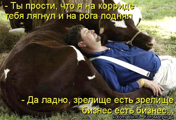 Котоматрица: - Ты прости, что я на корриде тебя лягнул и на рога поднял  - Да ладно, зрелище есть зрелище,  бизнес есть бизнес...