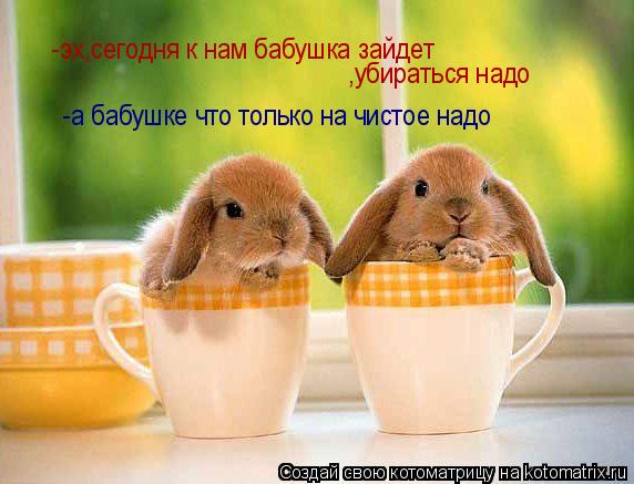 -эx,сегодня к нам бабушка зайдет ,убирaться надо -а бабушке что только на чистое надо... Котоматрица: -эx,сегодня к нам бабушка зайдет ,убирaться надо -а бабушке что только на чистое надо