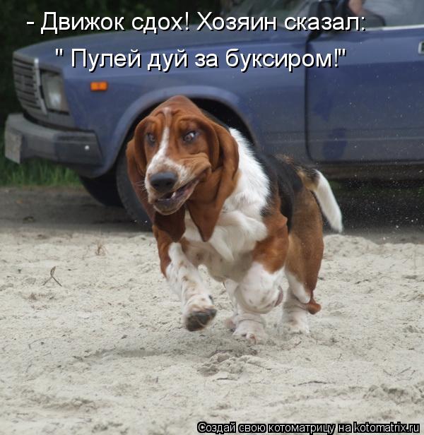 - Движок сдох! Хозяин сказал: " Пулей дуй за буксиром!"... Котоматрица: - Движок сдох! Хозяин сказал: " Пулей дуй за буксиром!"