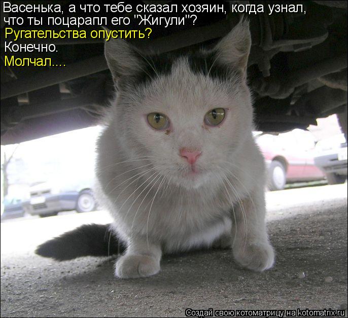 Котоматрица: Васенька, а что тебе сказал хозяин, когда узнал, что ты поцарапл его "Жигули"? Ругательства опустить? Конечно. Молчал....