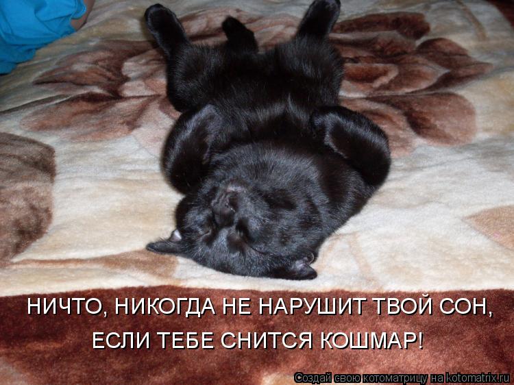 НИЧТО, НИКОГДА НЕ НАРУШИТ ТВОЙ СОН, ЕСЛИ ТЕБЕ СНИТСЯ КОШМАР!... Котоматрица: НИЧТО, НИКОГДА НЕ НАРУШИТ ТВОЙ СОН, ЕСЛИ ТЕБЕ СНИТСЯ КОШМАР!