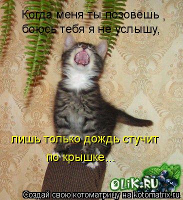 Котоматрица: Когда меня ты позовёшь , лишь только дождь стучит боюсь тебя я не услышу, по крышке...