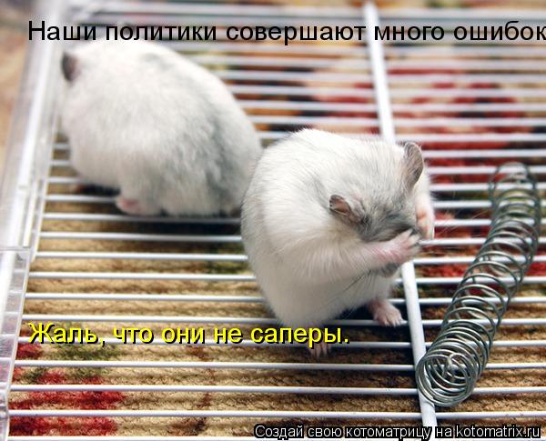 Котоматрица: Наши политики совершают много ошибок. Жаль, что они не саперы.