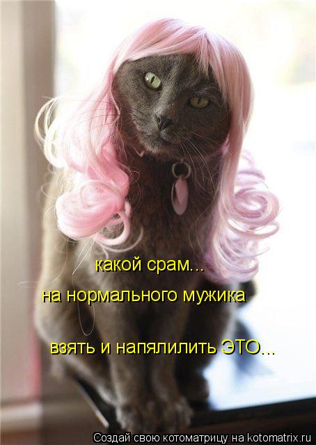 Котоматрица: какой срам... на нормального мужика взять и напялилить ЭТО...