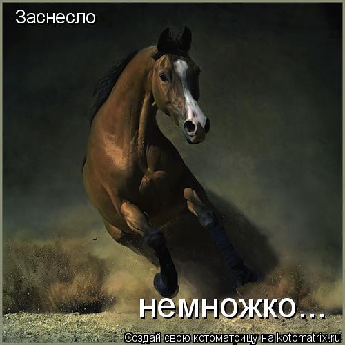Заснесло немножко...... Котоматрица: Заснесло немножко...