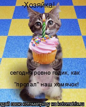 -Хозяйка! сегодня ровно годик, как "пропал" наш хомячок!... Котоматрица: -Хозяйка! сегодня ровно годик, как "пропал" наш хомячок!