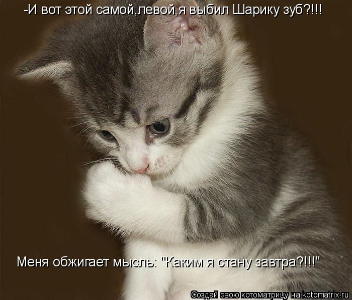 Котоматрица: -И вот этой самой,левой,я выбил Шарику зуб?!!! Меня обжигает мысль: "Каким я стану завтра?!!!"