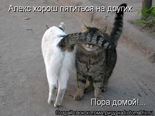 Алекс хорош пятиться на других Алекс хорош пятиться на других Алекс хорош пятиться на других Пора дом... Котоматрица: Алекс хорош пятиться на других Алекс хорош пятиться на других Алекс хорош пятиться на других Пора домой!...