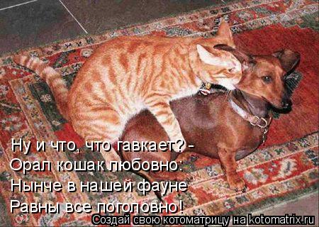 Ну и что, что гавкает? - Орал кошак любовно: Нынче в нашей фауне Равны все поголовно!... Котоматрица: Ну и что, что гавкает? - Орал кошак любовно: Нынче в нашей фауне Равны все поголовно!