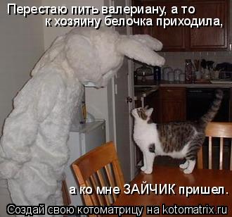 Перестаю пить валериану, а то к хозяину белочка приходила, а ко мне ЗАЙЧИК пришел.... Котоматрица: Перестаю пить валериану, а то к хозяину белочка приходила, а ко мне ЗАЙЧИК пришел.