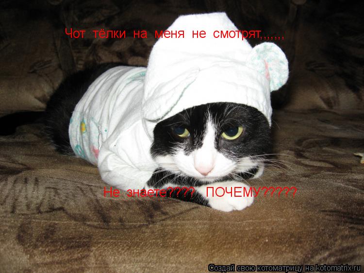 Чот тёлки на меня не смотрят,,,,,,, Не знаете???? ПОЧЕМУ?????... Котоматрица: Чот тёлки на меня не смотрят,,,,,,, Не знаете???? ПОЧЕМУ?????