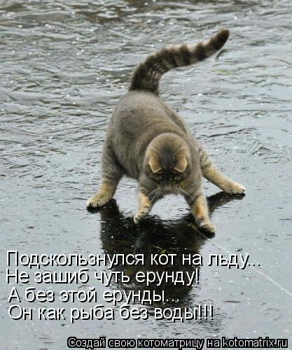 Подскользнулся кот на льду... Не зашиб чуть ерунду! А без этой ерунды... Он как рыба без воды!!!... Котоматрица: Подскользнулся кот на льду... Не зашиб чуть ерунду! А без этой ерунды... Он как рыба без воды!!!