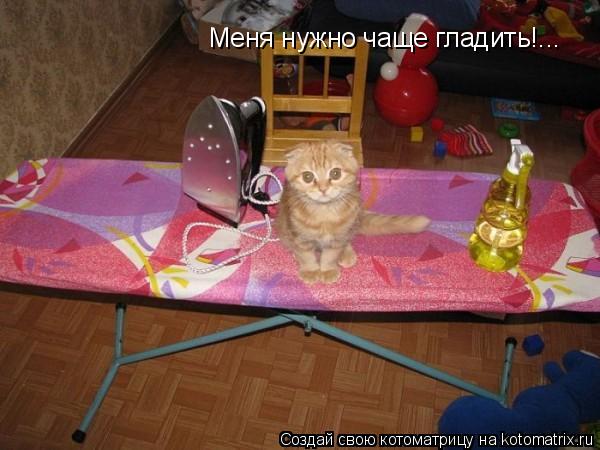 Меня нужно чаще гладить!...... Котоматрица: Меня нужно чаще гладить!...
