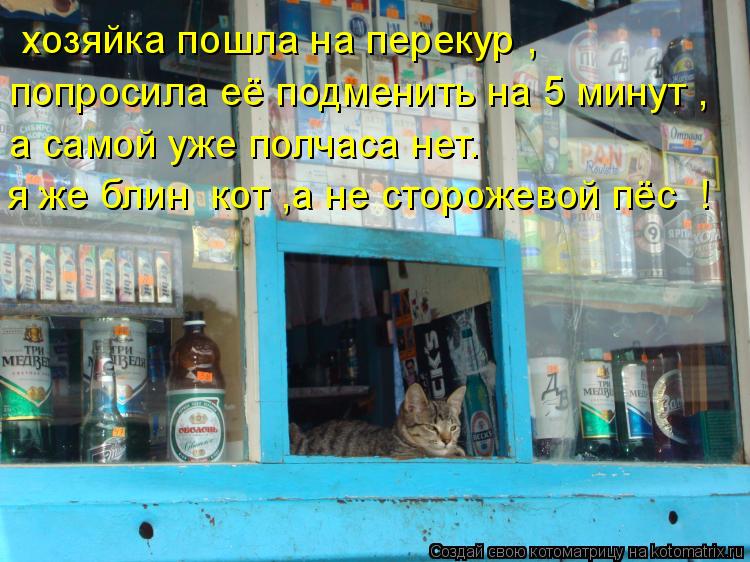 хозяйка пошла на перекур , попросила её подменить на 5 минут , а самой уже полчаса нет. я же блин ко... Котоматрица: хозяйка пошла на перекур , попросила её подменить на 5 минут , а самой уже полчаса нет. я же блин кот ,а не сторожевой пёс !