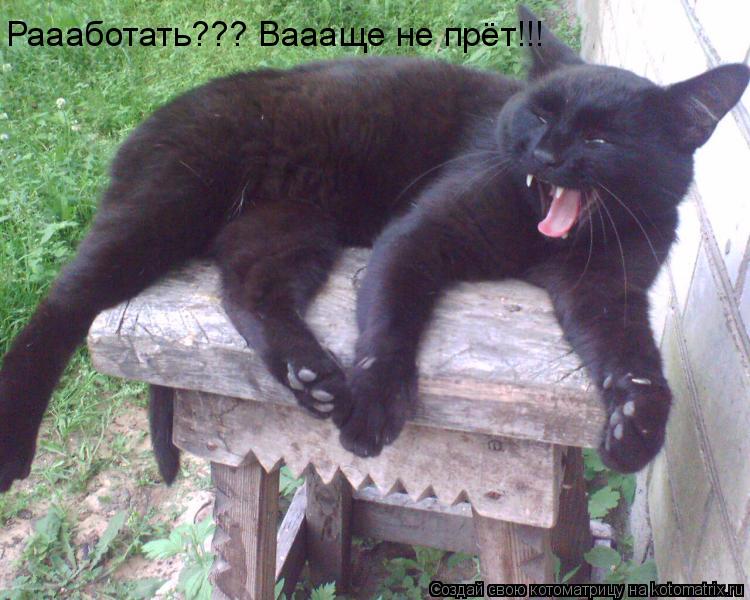 Раааботать??? Ваааще не прёт!!!... Котоматрица: Раааботать??? Ваааще не прёт!!!