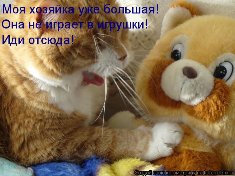 Моя хозяйка уже большая! Она не играет в игрушки! Иди отсюда!... Котоматрица: Моя хозяйка уже большая! Она не играет в игрушки! Иди отсюда!