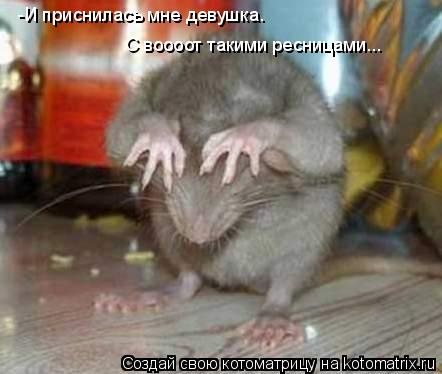 -И приснилась мне девушка. С воооот такими ресницами...... Котоматрица: -И приснилась мне девушка. С воооот такими ресницами...