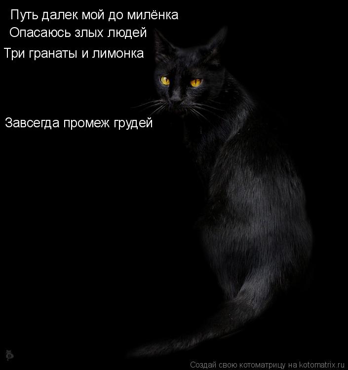 Путь далек мой до милёнка Опасаюсь злых людей Три гранаты и лимонка Завсегда промеж грудей... Котоматрица: Путь далек мой до милёнка Опасаюсь злых людей Три гранаты и лимонка Завсегда промеж грудей
