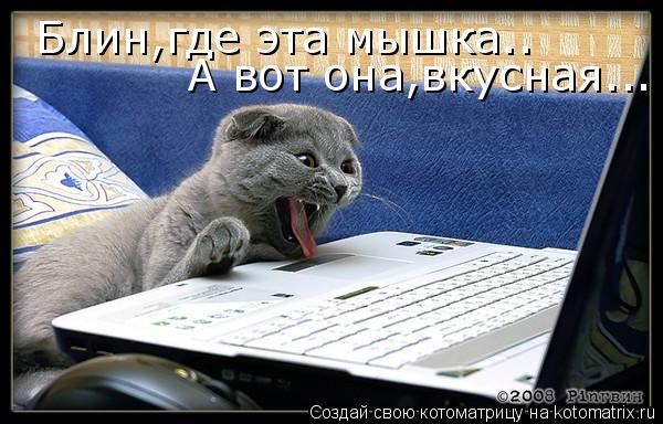 Блин,где эта мышка.. А вот она,вкусная...... Котоматрица: Блин,где эта мышка.. А вот она,вкусная...
