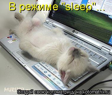 В режиме "sleep"...... Котоматрица: В режиме "sleep"...