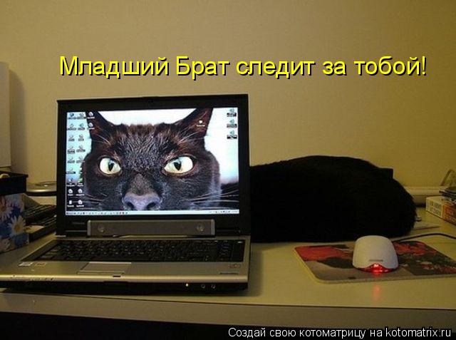 Котоматрица: Младший Брат следит за тобой!
