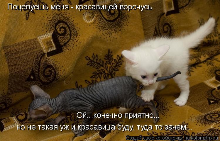 Поцелуешь меня - красавицей ворочусь Ой...конечно приятно... но не такая уж и красавица буду, туда то... Котоматрица: Поцелуешь меня - красавицей ворочусь Ой...конечно приятно... но не такая уж и красавица буду, туда то зачем...