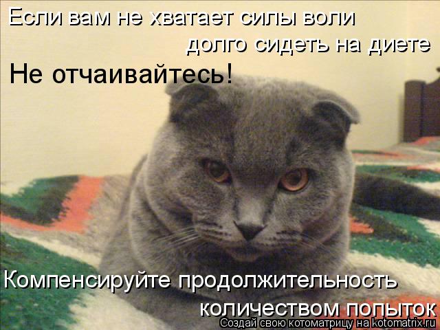 Котоматрица: Если вам не хватает силы воли  долго сидеть на диете Не отчаивайтесь! Компенсируйте продолжительность  количеством попыток