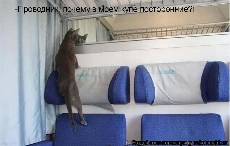 Котоматрица: -Проводник, почему в моем купе посторонние?!