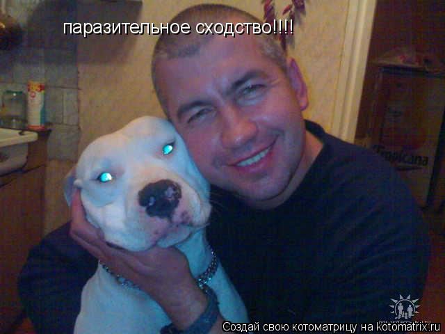 Котоматрица: паразительное сходство!!!!