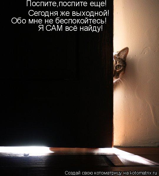 Сегодня же выходной! Поспите,поспите еще! Обо мне не беспокойтесь! Я САМ всё найду!... Котоматрица: Сегодня же выходной! Поспите,поспите еще! Обо мне не беспокойтесь! Я САМ всё найду!
