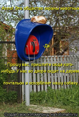 Алло! Это общество охраны животных? -Да - Прошу вас, пришлите сюда кого- нибудь.У нас во дворе сидит ... Котоматрица: Алло! Это общество охраны животных? -Да - Прошу вас, пришлите сюда кого- нибудь.У нас во дворе сидит на дереве почтальон и оскорбляет нашу соб