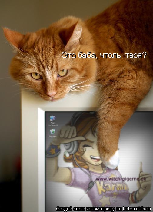 Котоматрица: Это баба, чтоль  твоя?
