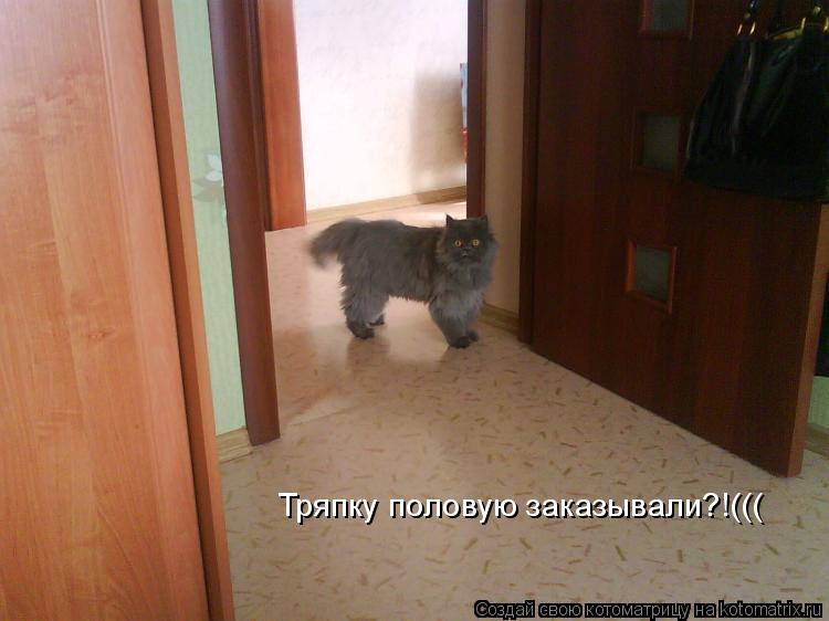 Котоматрица: Тряпку половую заказывали?!(((