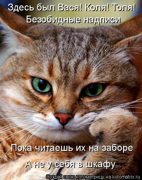 Здесь был Вася! Коля! Толя! Безобидные надписи Пока читаешь их на заборе А не у себя в шкафу... Котоматрица: Здесь был Вася! Коля! Толя! Безобидные надписи Пока читаешь их на заборе А не у себя в шкафу
