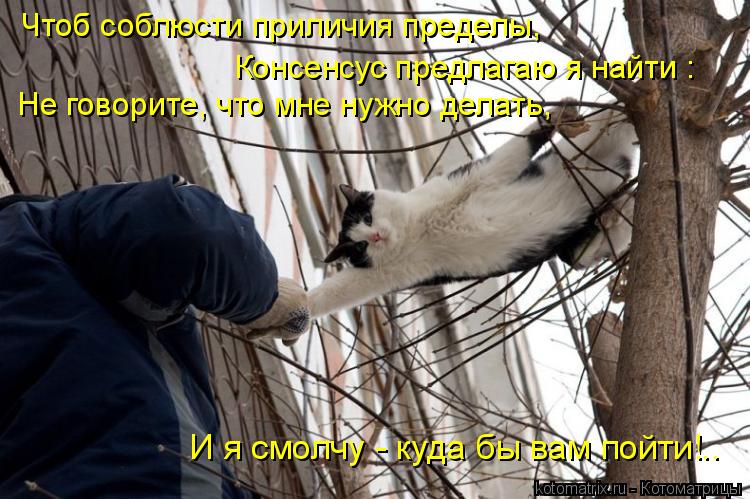 Не говорите, что мне нужно делать, Чтоб соблюсти приличия пределы, Консенсус предлагаю я найти : И я ... Котоматрица: Не говорите, что мне нужно делать, Чтоб соблюсти приличия пределы, Консенсус предлагаю я найти : И я смолчу - куда бы вам пойти!..