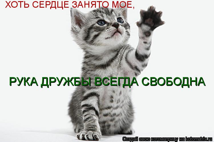 Котоматрица: ХОТЬ СЕРДЦЕ ЗАНЯТО МОЕ, РУКА ДРУЖБЫ ВСЕГДА СВОБОДНА